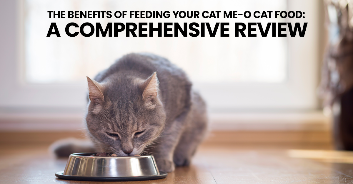 The Benefits of Feeding Your Cat Me-O Cat Food: A Comprehensive Review