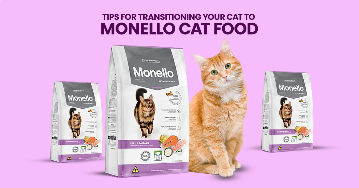 Tips for Transitioning Your Cat to Monello Cat Food