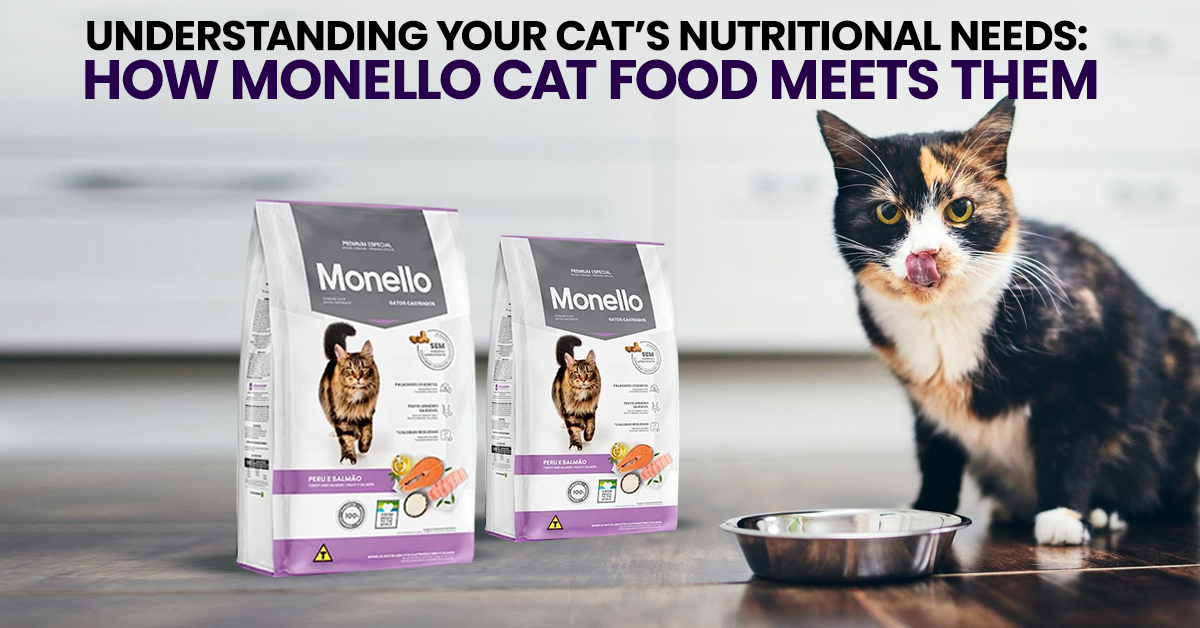 Understanding Your Cat's Nutritional Needs: How Monello Cat Food Meets Them