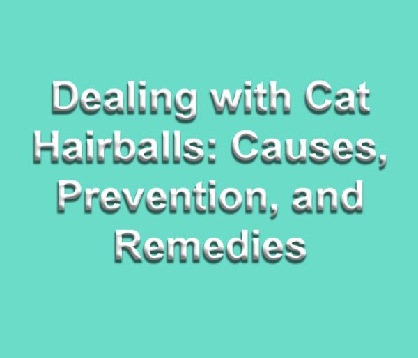 Dealing with Cat Hairballs Causes, Prevention, and Remedies