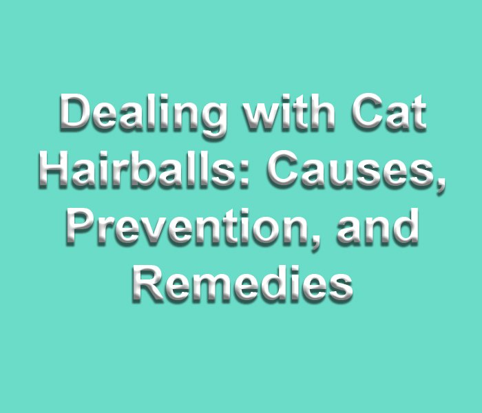 Dealing with Cat Hairballs: Causes, Prevention, and Remedies