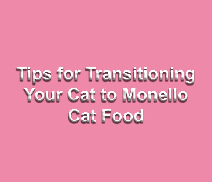 Transitioning Your Cat to Monello Cat Food