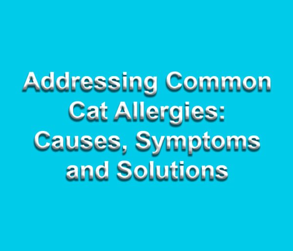 Addressing Common Cat Allergies Causes, Symptoms and Solutions