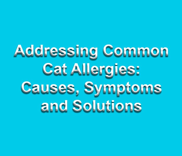 Addressing Common Cat Allergies: Causes, Symptoms and Solutions