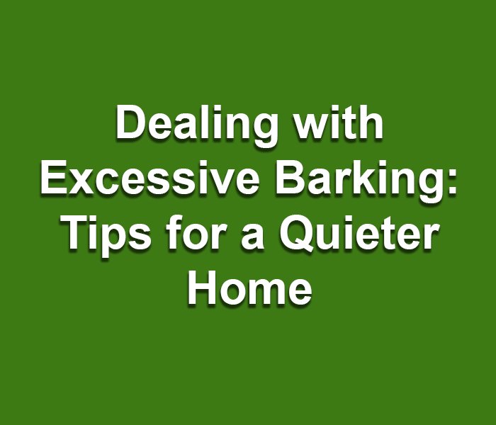 Dealing with Excessive Barking: Tips for a Quieter Home