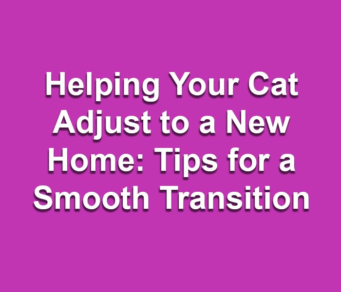 Helping Your Cat Adjust to a New Home: Tips for a Smooth Transition