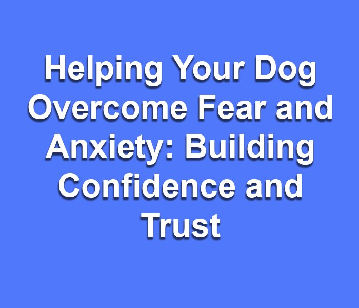 Helping Your Dog Overcome Fear and Anxiety: Building Confidence and Trust