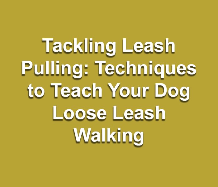 Tackling Leash Pulling: Techniques to Teach Your Dog Loose Leash Walking