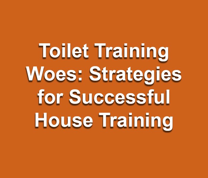 Toilet Training Woes: Strategies for Successful House Training