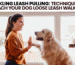 Tackling Leash Pulling: Techniques to Teach Your Dog Loose Leash Walking