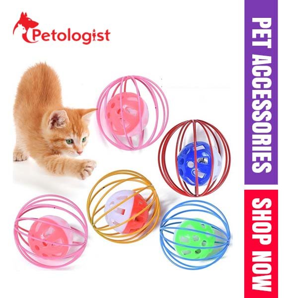 Cat Cage Ball Toy