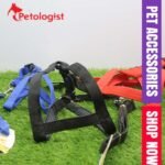 Dog Foam Harness with handle