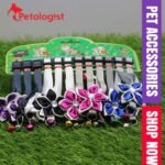 Premium Quality Cat Collar