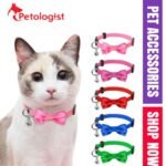 Stylish Bow Collar