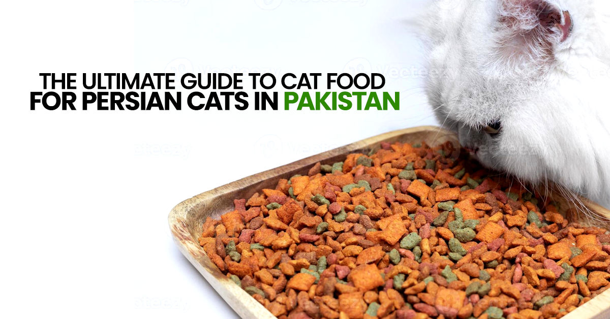Cat food